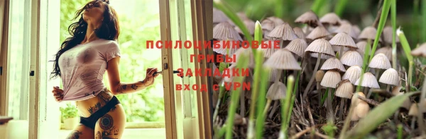 прущая мука Арсеньев